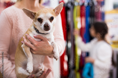 Portrait of young attractive woman with small dog in hands in pet store