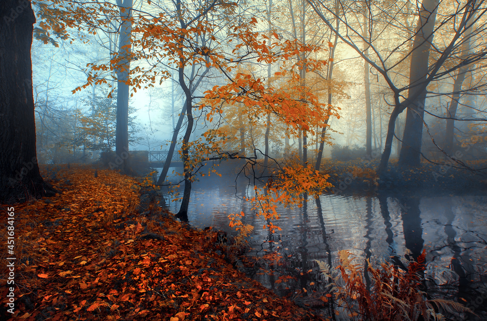 Obraz premium Jesień w parku