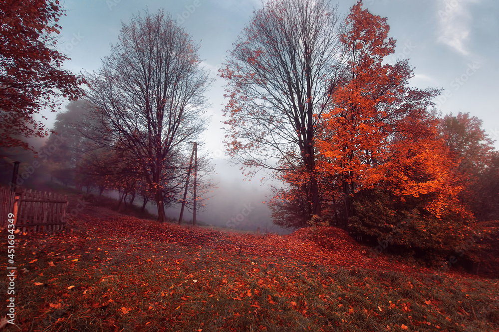 Obraz premium Jesienny pejzaż