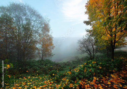 Jesienny mglisty pejzaż