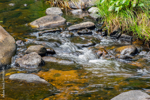 Photo flowing brook on a summers day