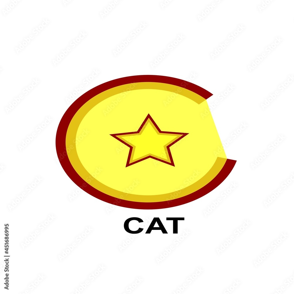 Obraz premium star logo design.