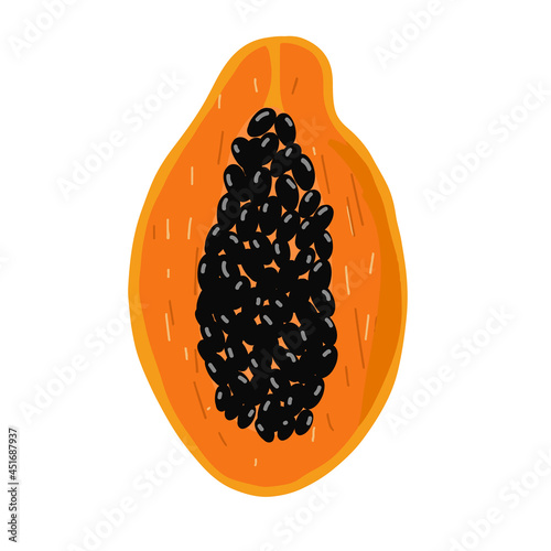 Hand-drawn papaya vector illustration. Farm organic ingredient for juice. Vegetarian diet illustration.