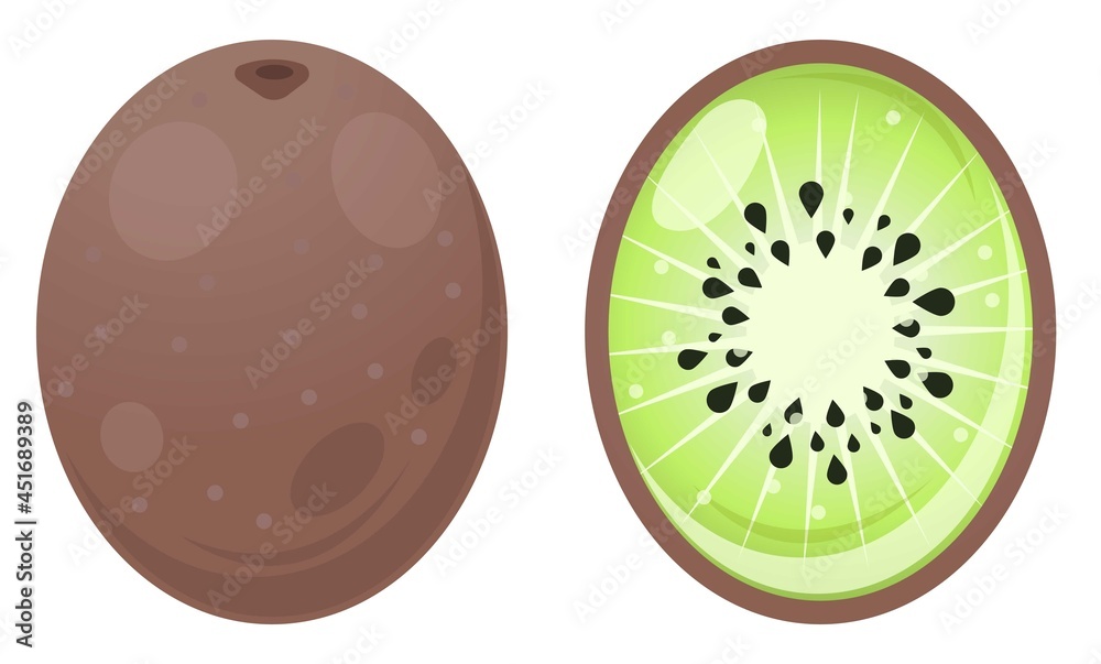 Fresh Kiwi Fruit. Sliced Kiwi. Kiwi Fruit Illustration. One Whole Kiwi And A Half. Ripe Juicy Fruit Fresh Kiwi Fruit. Sliced Kiwi. Kiwi Fruit Illustration. One Whole Kiwi And A Half. Ripe Juicy Fruit