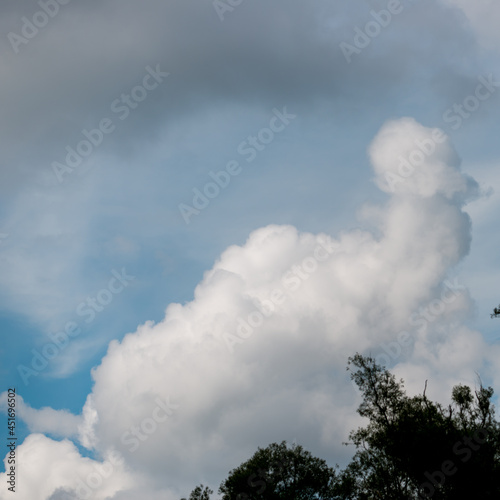 Photos phallic cloud
