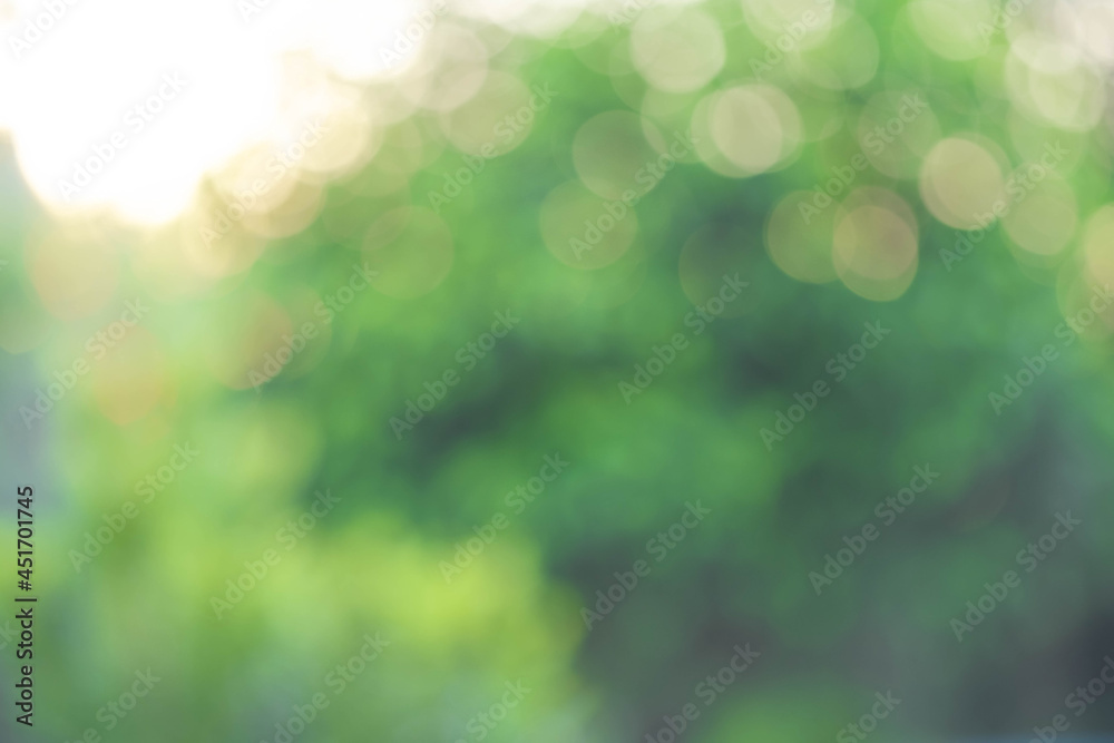 Obraz premium Bokeh of nature view of green leaf on blurred greenery background in garden with copy space using as background natural green plants landscape, ecology, fresh wallpaper