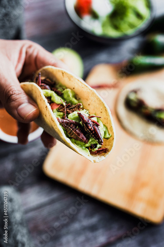 Fotografia hand holding tacos de chapulines or grasshopper taco traditional in mexican food