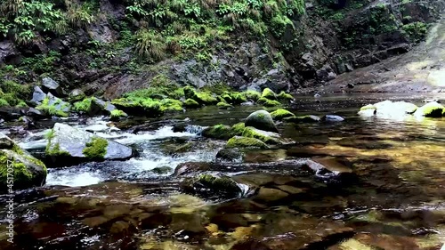 真夏の清涼な川