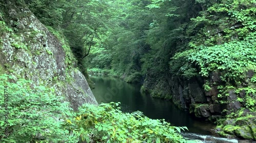新緑の森の中を流れる川