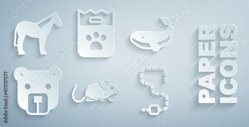 Set Rat, Whale, Bear head, Worm, Bag of food and Horse icon. Vector