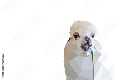 Alpaca low-poly design and copy space with text. Alpaca eating grass.Illustration and vector.
