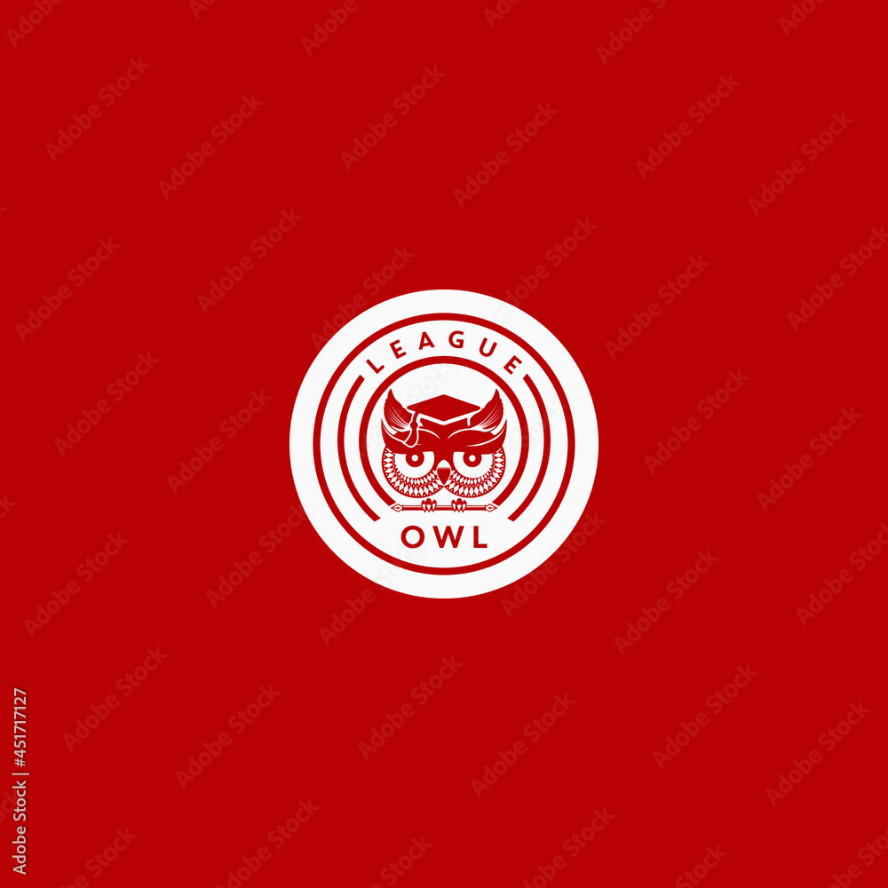 Fotografie simple emblem owl logo and graduation hat