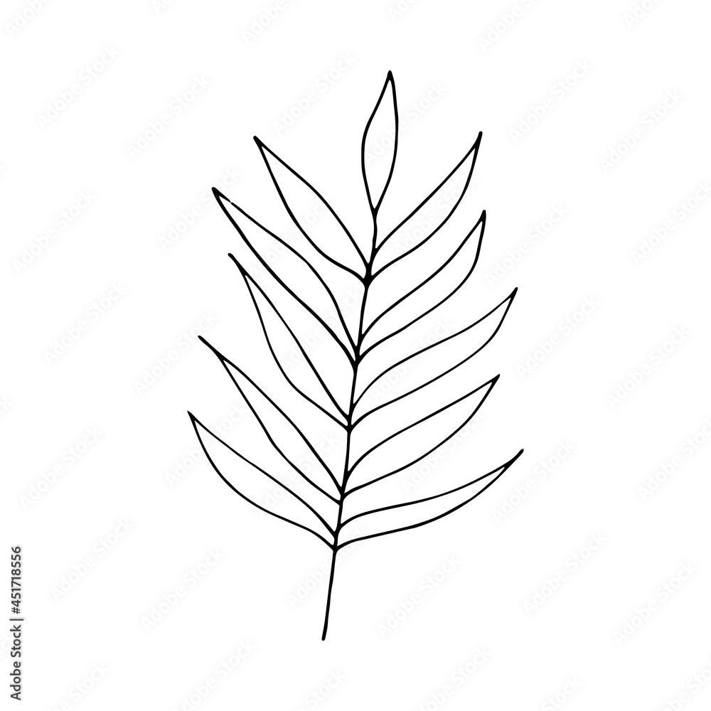 abstract leaves icon. hand drawn doodle. vector, scandinavian, nordic, minimalism, monochrome. plant, herbarium. abstract leaves icon. hand drawn doodle. vector, scandinavian, nordic, minimalism, monochrome. plant, herbarium.