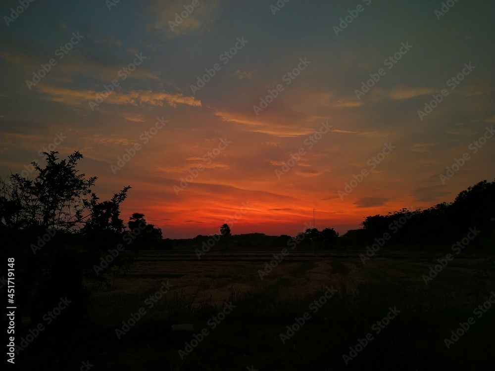 blue sky white clouds red sun light trees blue sky white clouds red sun light trees