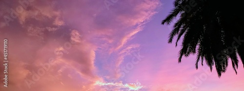 tropical sunset