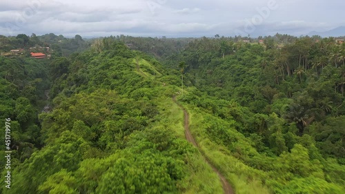 Aerial drone footage of the famous Campuhan ridge walk in Ubud, Bali, Indonesia photo