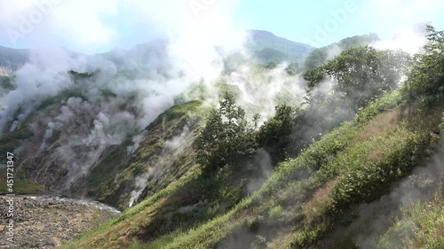 There are hot springs on the mountainside, among the green vegetation. The steam from them rises into the blue sky in many columns. A small river flows through the stones. Kamchatka. Valley of Geysers