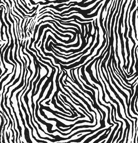 Drawn vector of zebra fur texture print  pattern