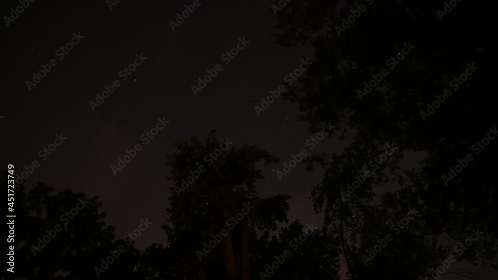 Time lapse video of fireflies at night in Bloomington, Indiana backyard, June 28, 2021