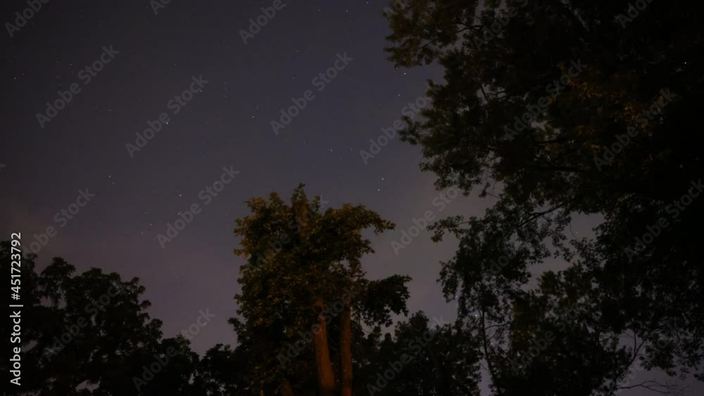 Time lapse video of fireflies at night in Bloomington, Indiana backyard, June 28, 2021 Time lapse video of fireflies at night in Bloomington, Indiana backyard, June 28, 2021