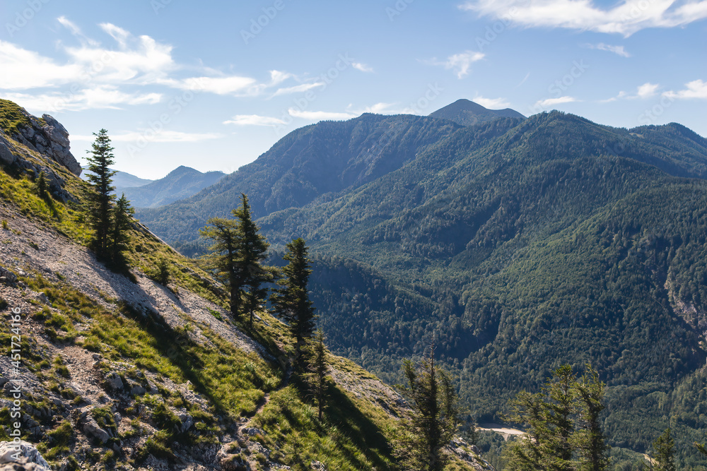 Fototapeta premium Austria Alps valley with mountain and tree from lookout on hill Kleine Schoberstein, summer day