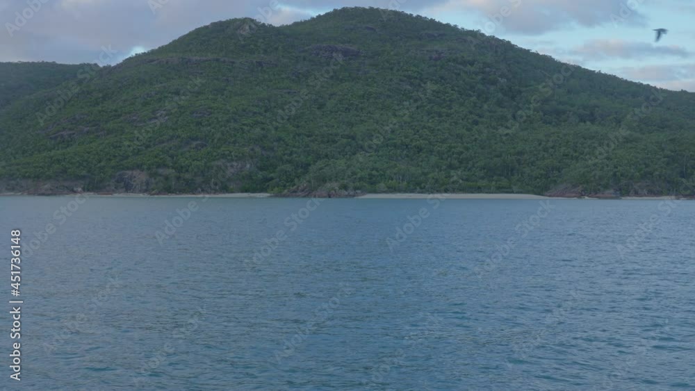 Green Forest On The Island Of Whitsundays At Australian State Of Queensland. wide shot Green Forest On The Island Of Whitsundays At Australian State Of Queensland. wide shot