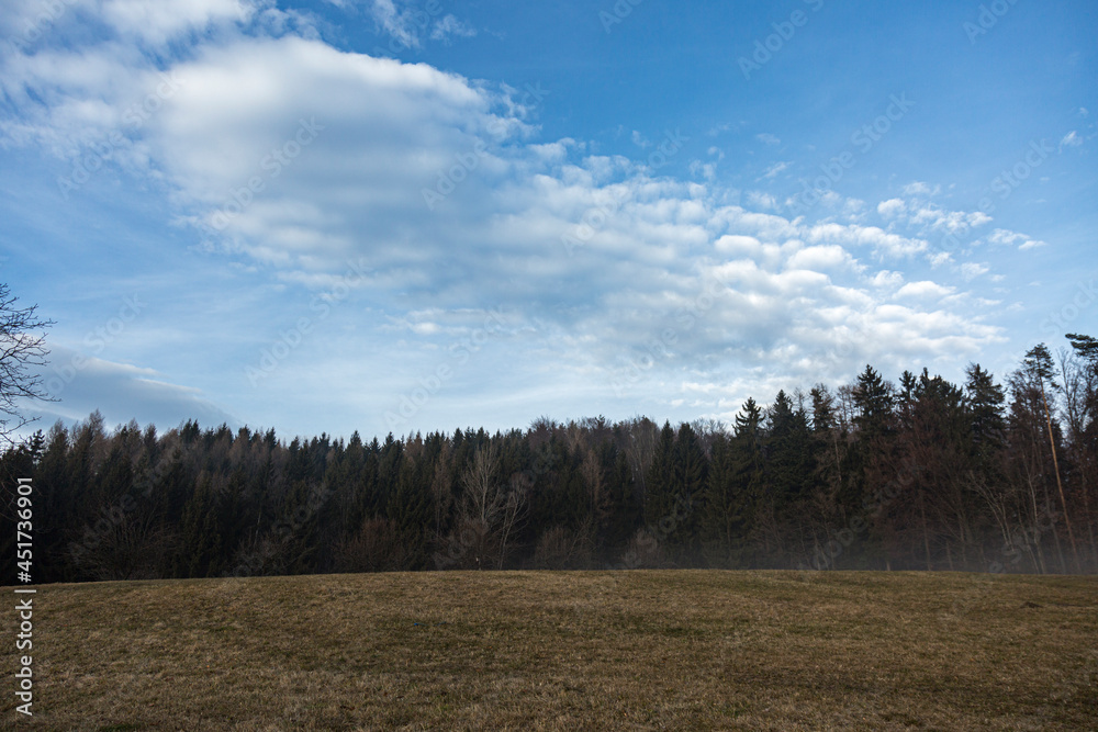 Close up of fogy forest over sunny and cloudy morning sky in Graz, Austria.