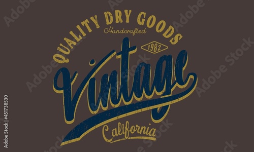 Vintage Style denim Skateboard tee shirt print-4