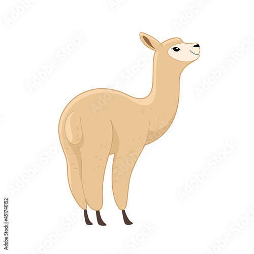 Cute alpaca - cartoon animal character. Vector illustration in flat style isolated on white background. © Lili Kudrili