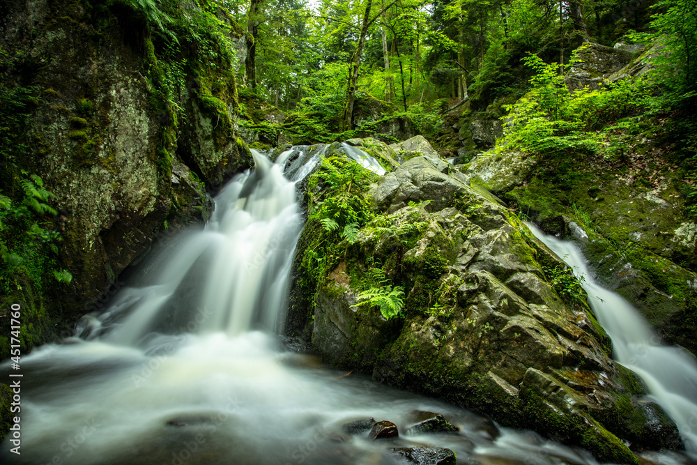 Obraz premium Waterfall in Spring 
