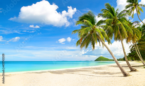 Sandy beach with Coconut Palm tree at Thungwualaen beach  Chumphon  Thailand.