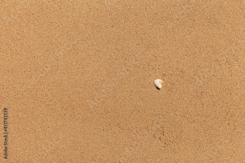 Clean brown fine sand for use as a background