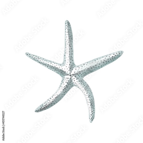 Starfish watercolor painting isolated on white background. Watercolor illustration , sea animal drawing.