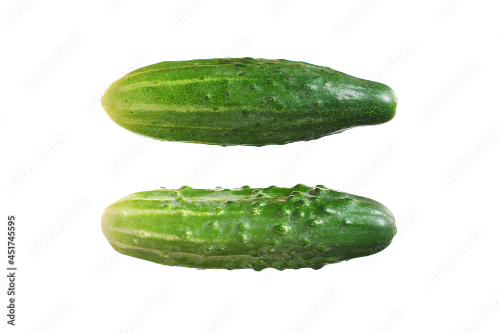 Two fresh cucumbers