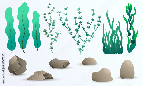 Vector set of deep seaweed and stones for game, paper design, fabric and web