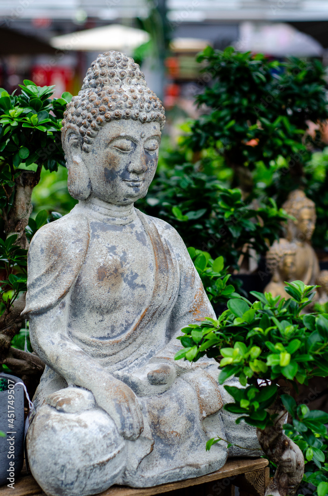 Close up of  Buddha statue in bonsai trees garden