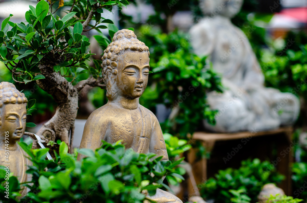 Close up of  Buddha statue in bonsai trees garden