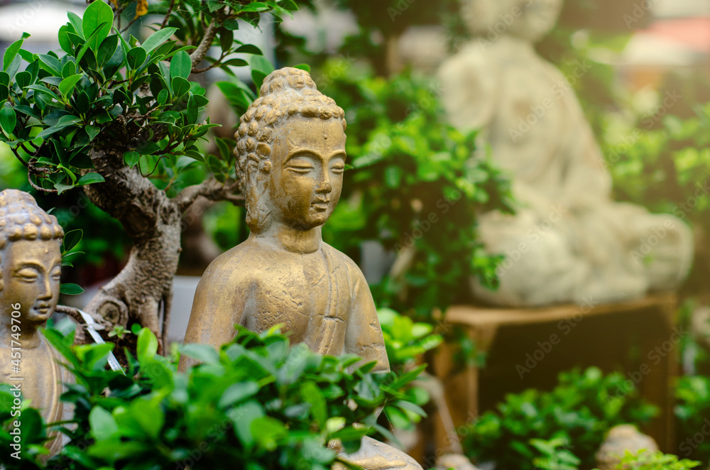 Close up of  Buddha statue in bonsai trees garden