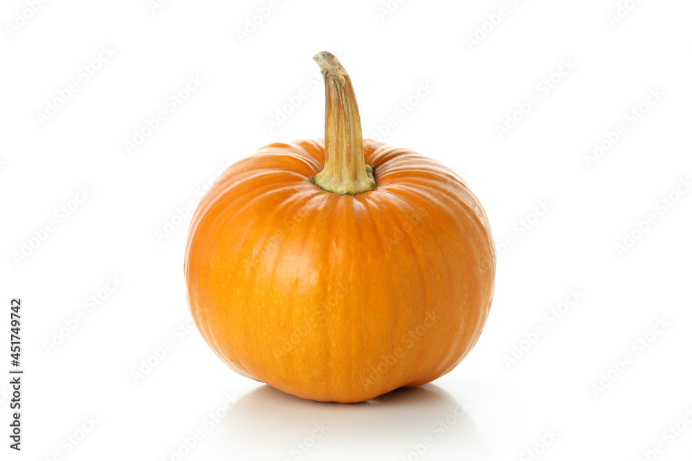 Thanksgiving Day pumpkin isolated on white background