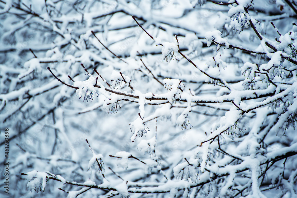 Under the snow Under the snow