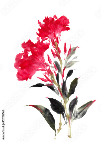 水墨画技法で描かれた鶏頭