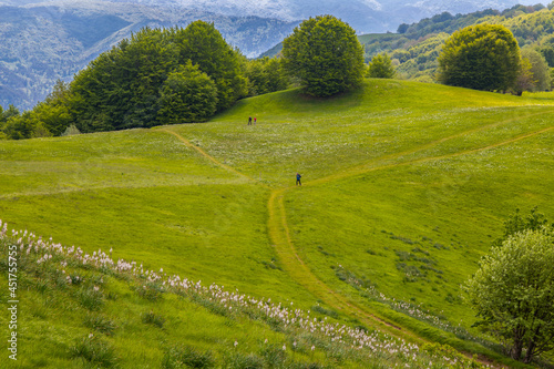 Fototapeta Naklejka Na Ścianę i Meble -  Natural landscape in springtime on Pian della Cavalla mount in Liguria, in the municipality of Fascia, Genoa province, Italy
