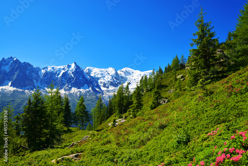 Idyllic landscape with Mont Blanc mountain range in sunny day. Nature Reserve Aiguilles Rouges, Graian Alps, France, Europe.
