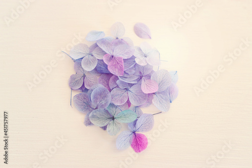 Top view image of Hydrangea flowers composition over white wooden background .Flat lay 