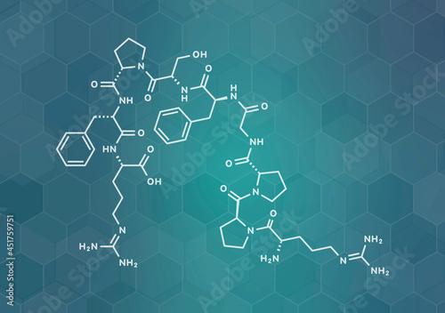 Bradykinin peptide molecule, illustration photo