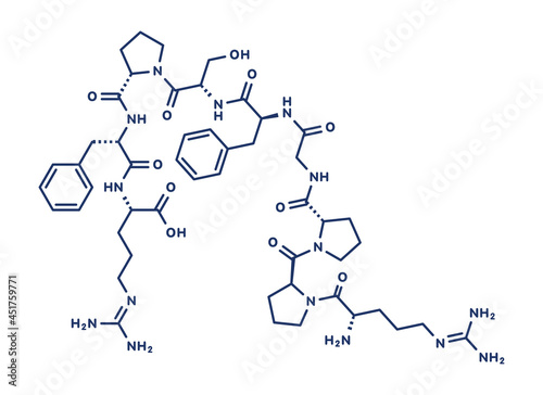 Bradykinin peptide molecule, illustration photo