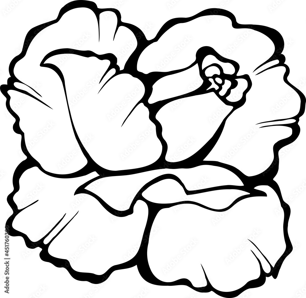 Vector image of a rose. Black outline on a white background. Vector image of a rose. Black outline on a white background.
