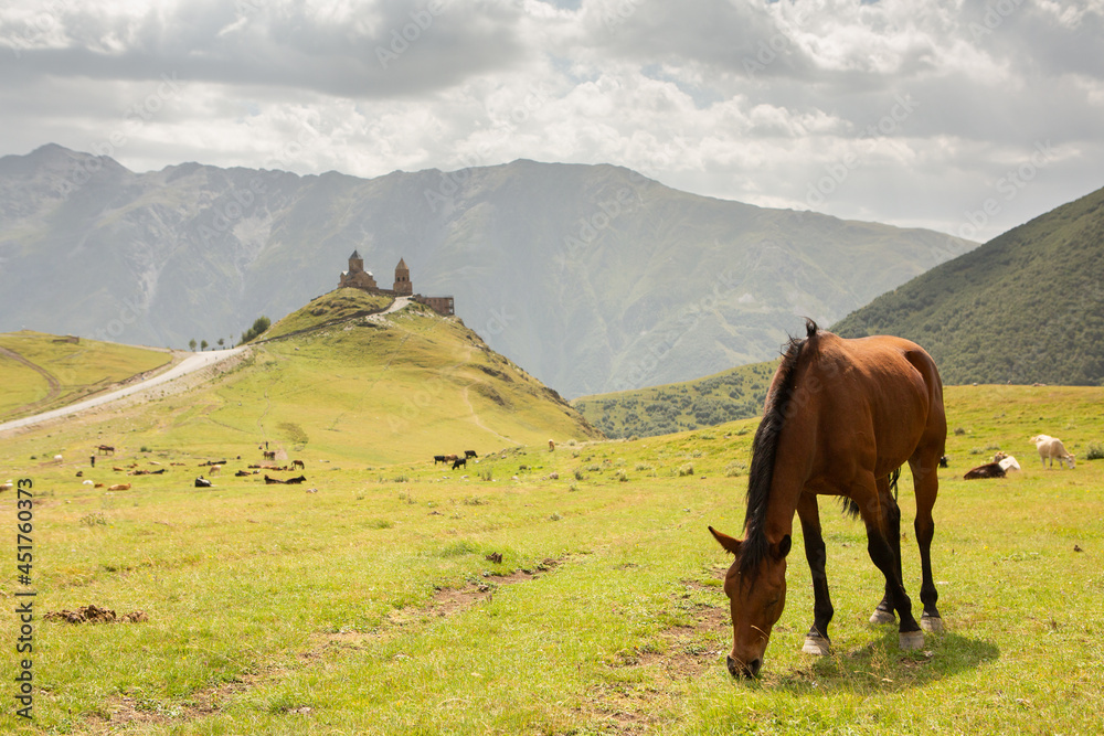 A beautiful landscape photography with Caucasus Mountains in Georgia
A beautiful landscape photography with Caucasus Mountains in Georgia