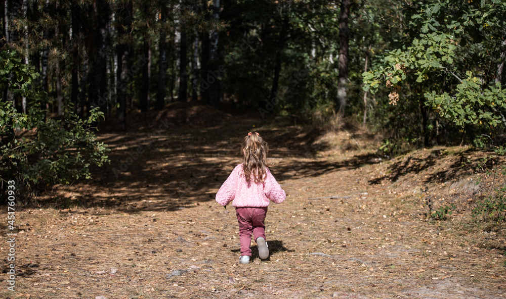 the child herself goes into the woods, lost the child herself goes into the woods, lost