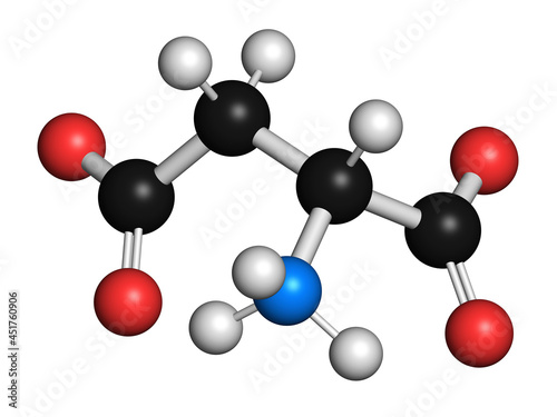 D-aspartic acid amino acid molecule, illustration